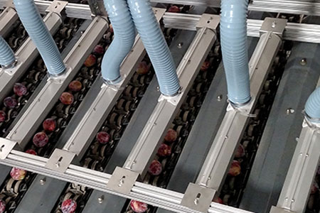 Trocknung von Lebensmitteln mithilfe von Airknives