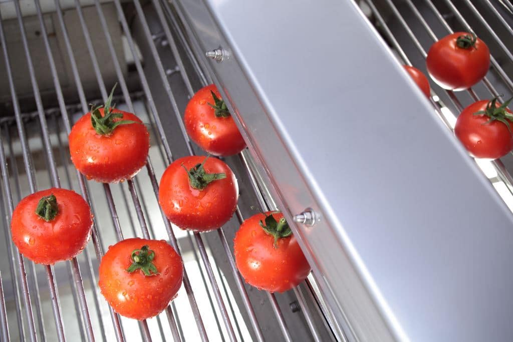 Trocknung von Tomaten mit Airknife Luftdüsen